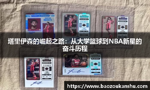 bsports官网入口
