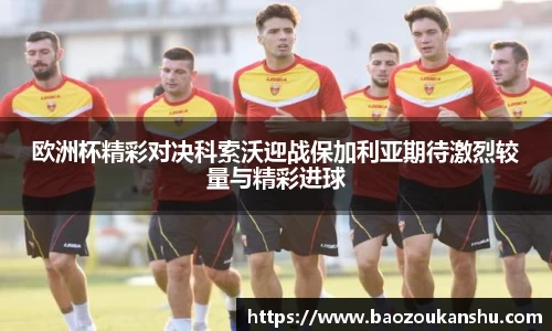 欧洲杯精彩对决科索沃迎战保加利亚期待激烈较量与精彩进球