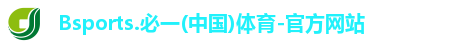 B体育官网